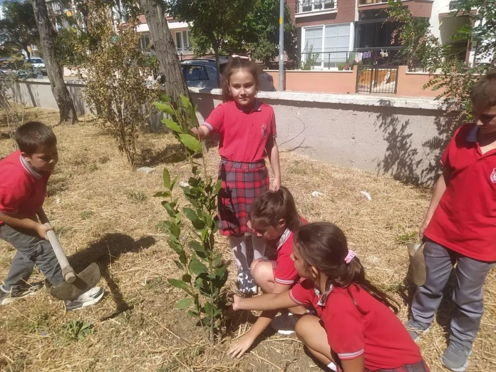 Gelibolu’da Minik Eller Yeşil Vatan İçin Fidan Dikti